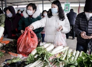 تعليمات من منظمة الصحة العالمية لتقوية مناعة الجسم